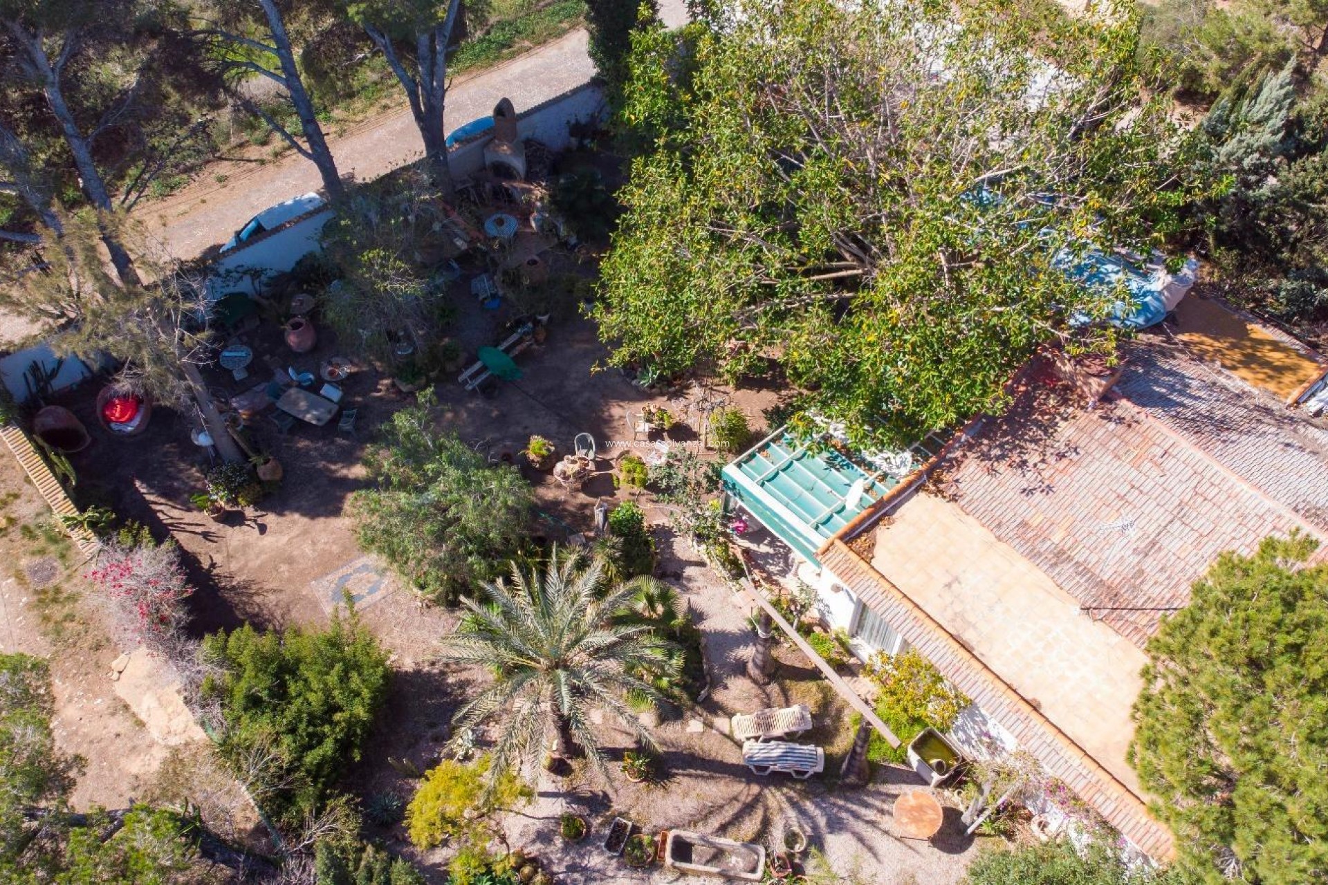 Revente - Villa - Orihuela Costa - Lomas De Cabo Roig-los Dolses