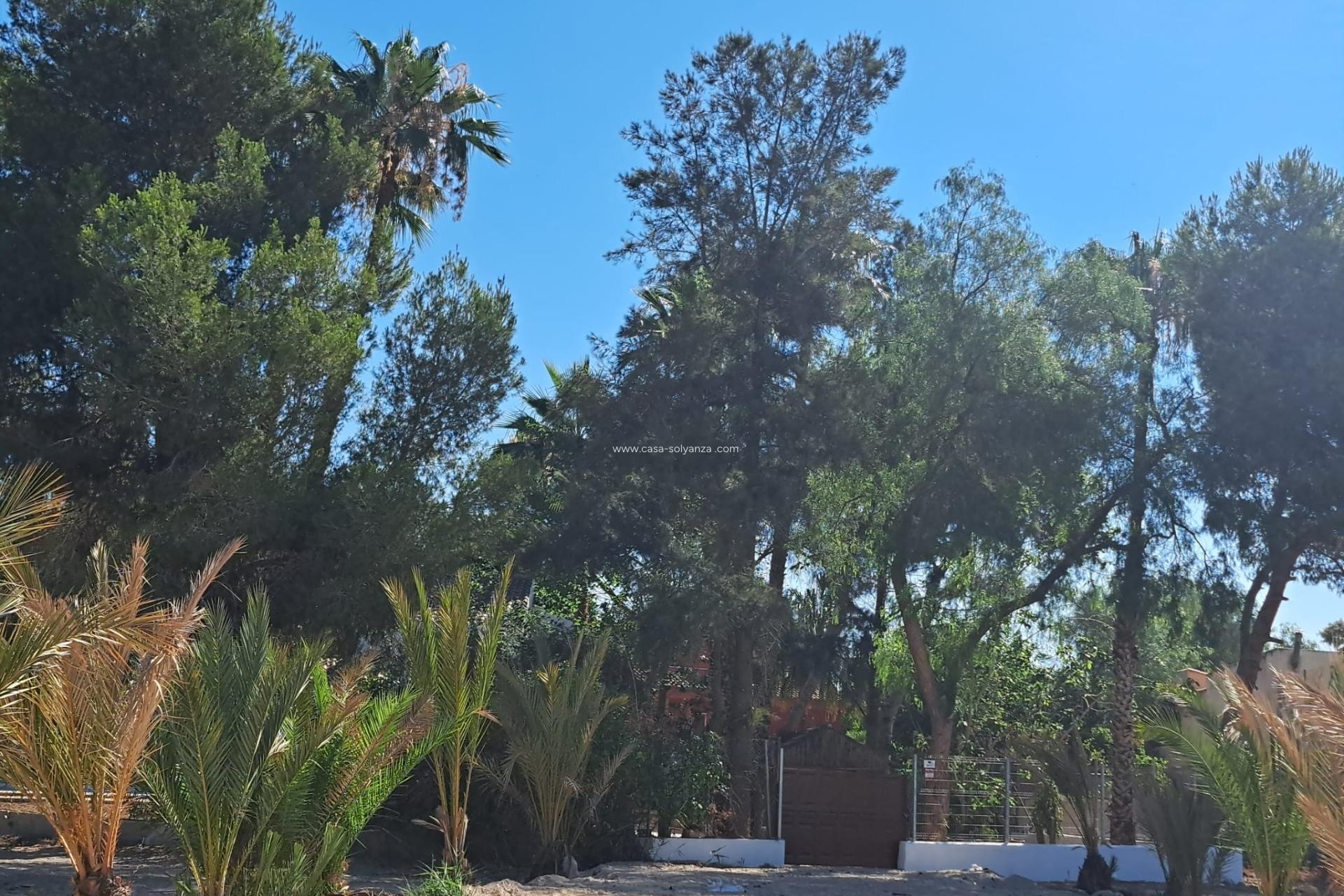 Revente - Villa - Orihuela - Desamparados