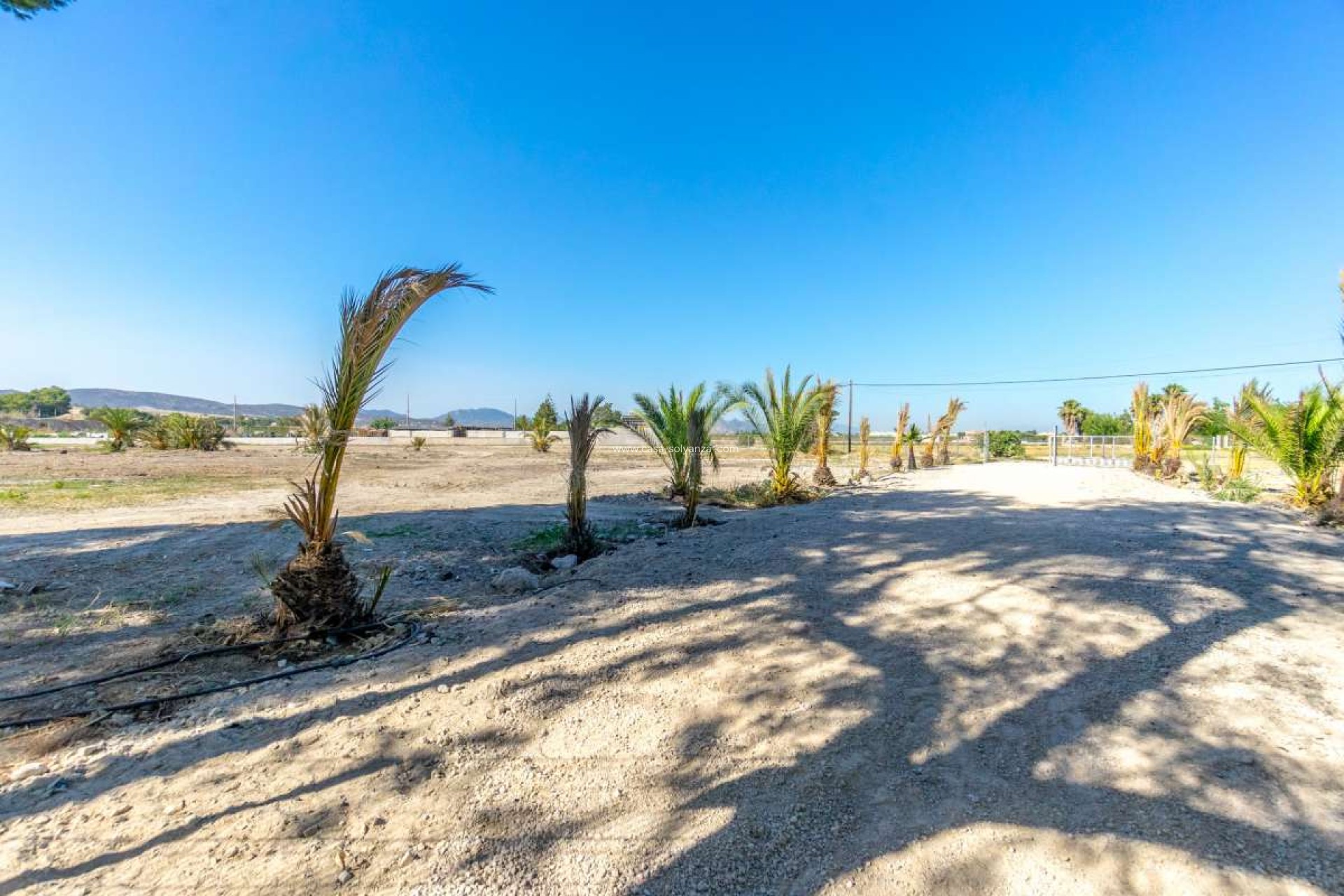 Revente - Villa - Orihuela - Inland