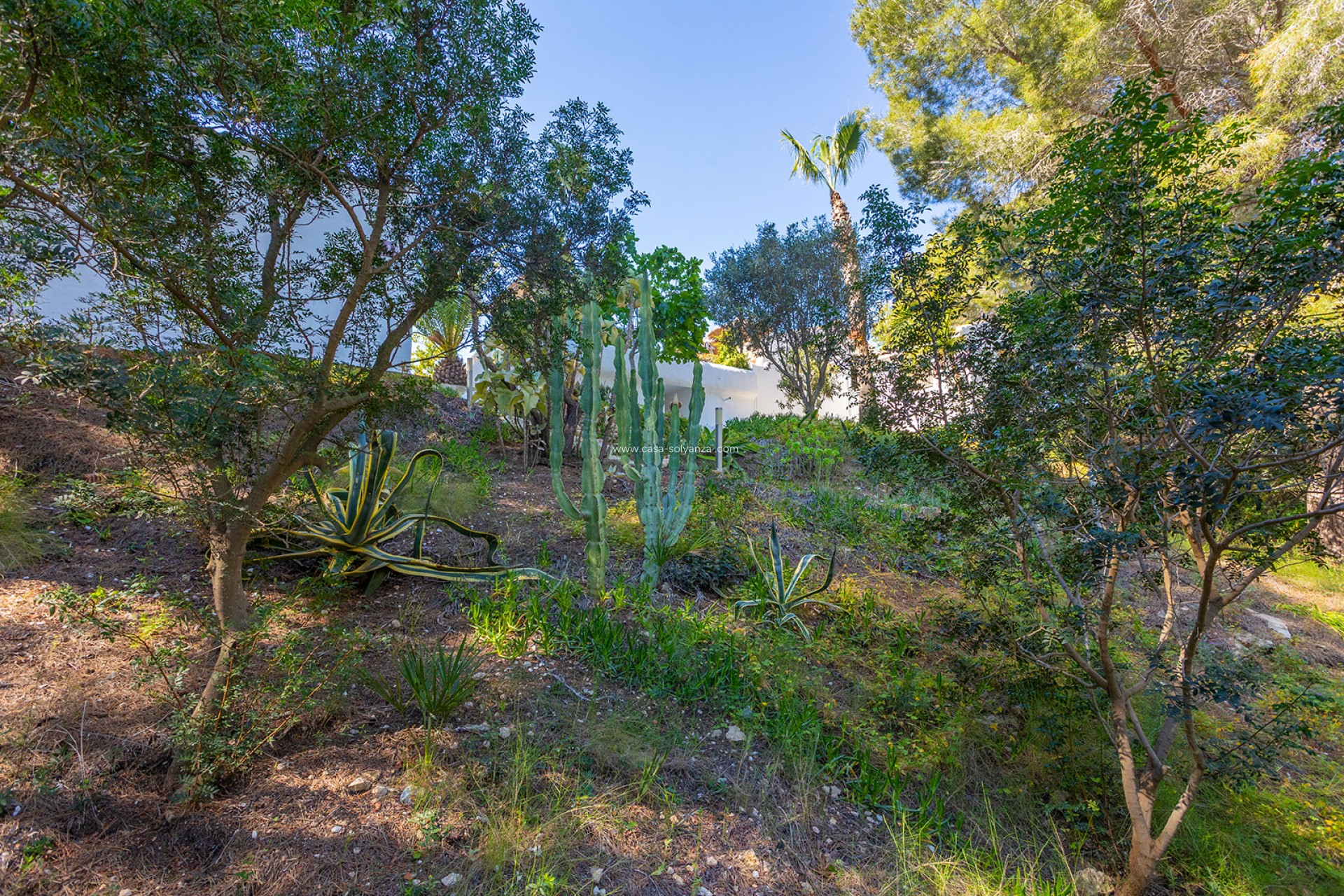 Revente - Villa - Orihuela - Inland