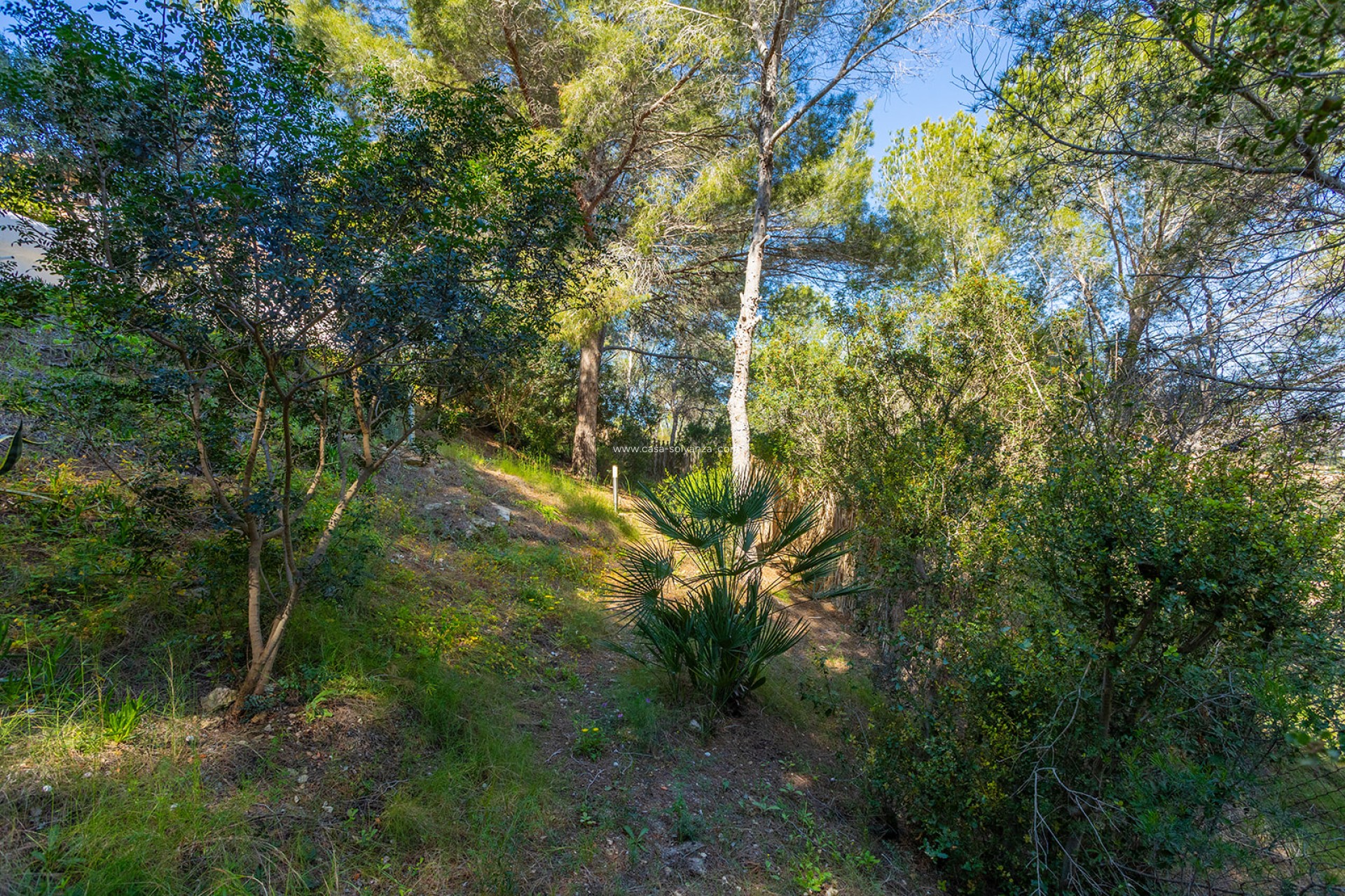Revente - Villa - Orihuela - Inland