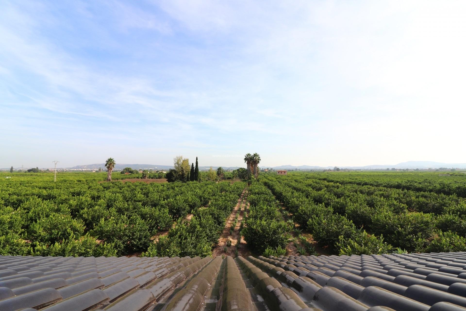 Revente - Villa - Orihuela - La Campaneta