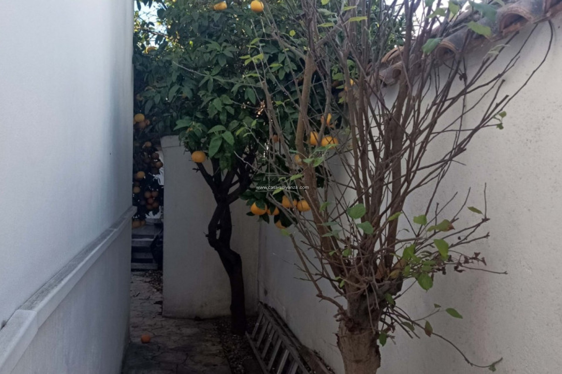 Revente - Villa - Orihuela - La Florida