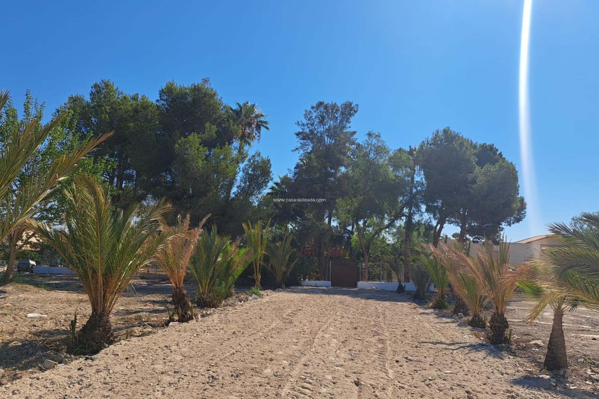 Revente - Villa - Orihuela - Los Huertos