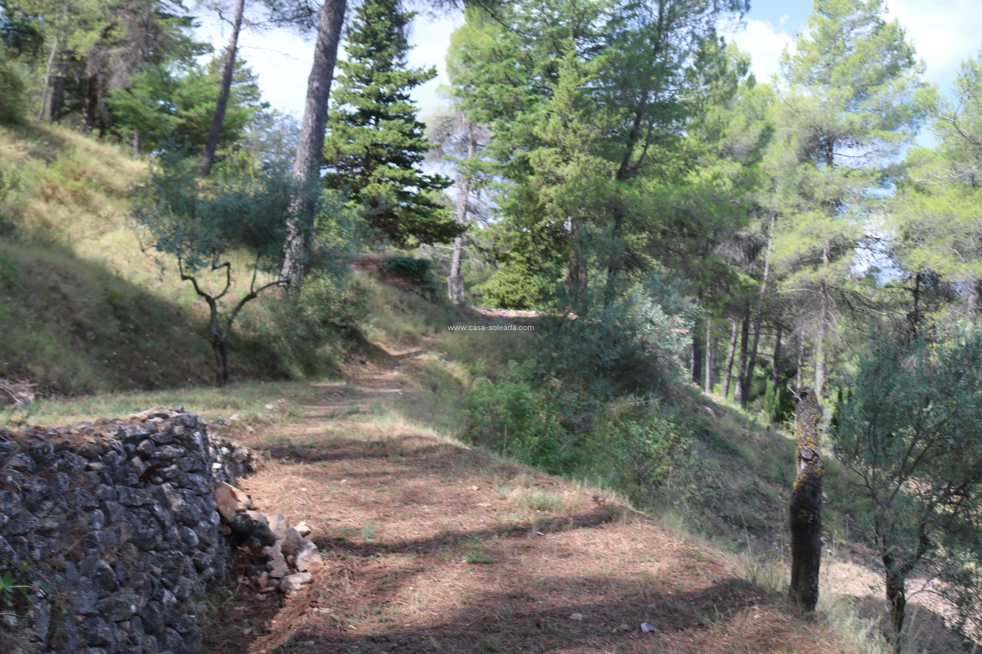 Revente - Villa - Penaguila - Inland