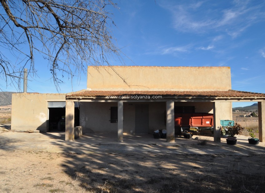 Revente - Villa - Pinoso - Inland
