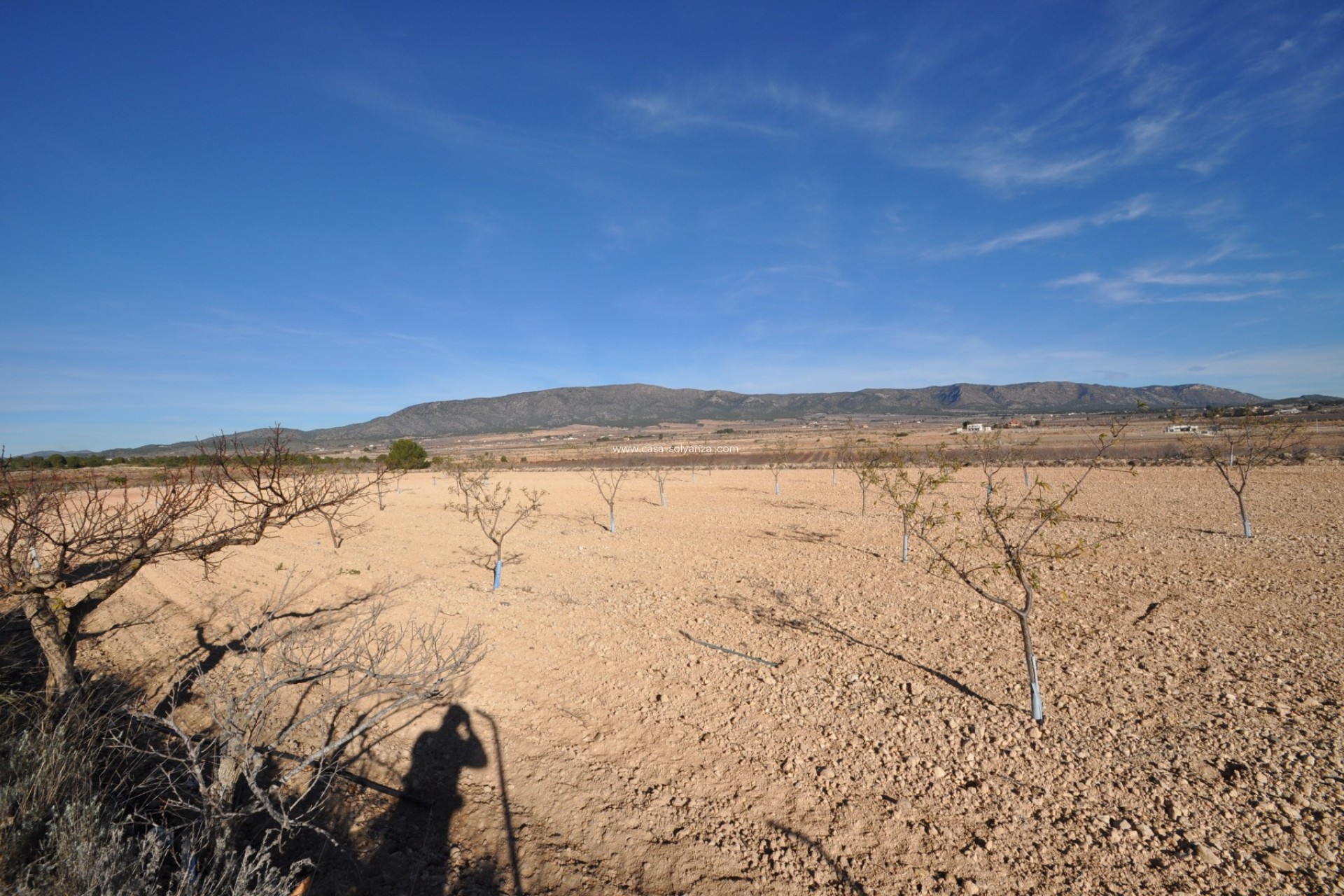 Revente - Villa - Pinoso - Inland