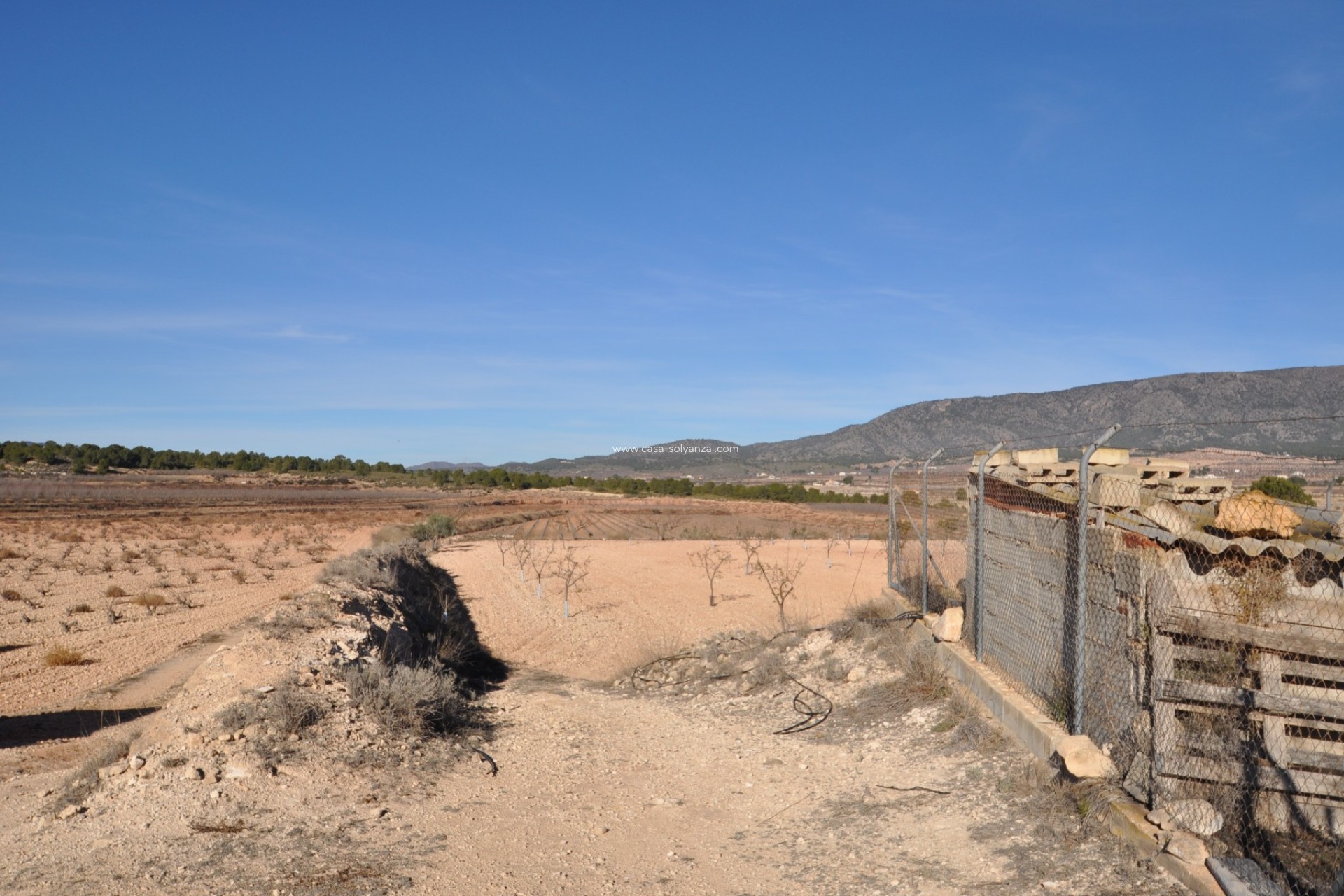 Revente - Villa - Pinoso - Inland