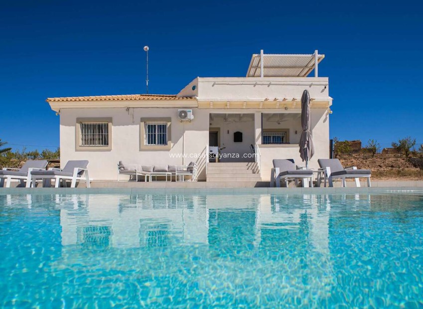 Revente - Villa - Pinoso - Inland