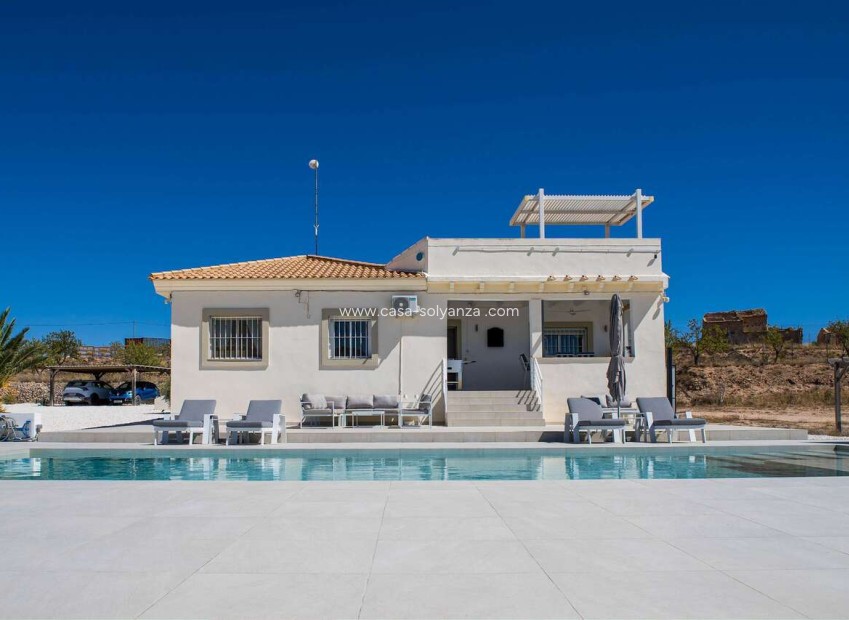 Revente - Villa - Pinoso - Inland