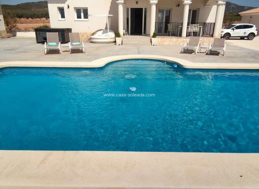 Revente - Villa - Pinoso - Inland