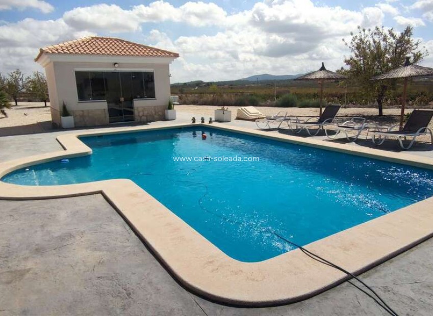 Revente - Villa - Pinoso - Inland