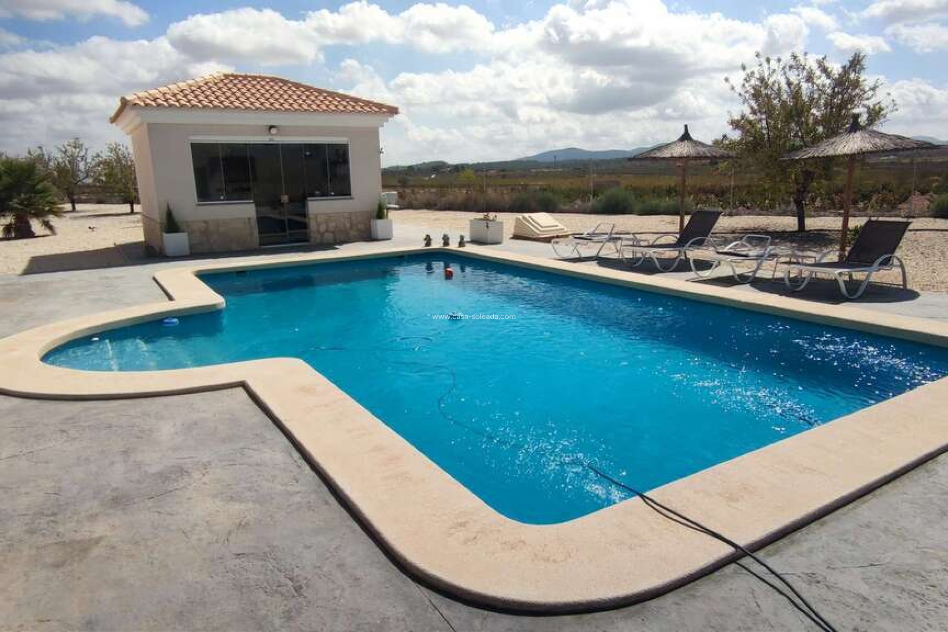 Revente - Villa - Pinoso - Inland