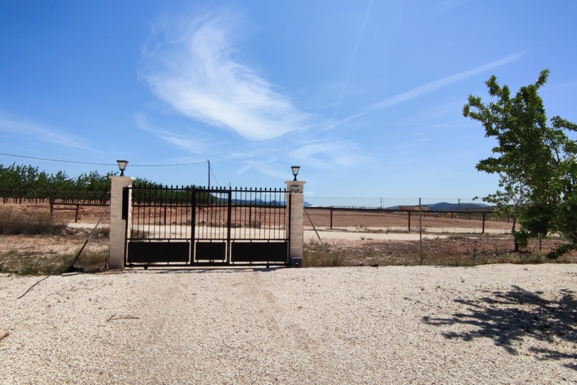 Revente - Villa - Pinoso - Inland