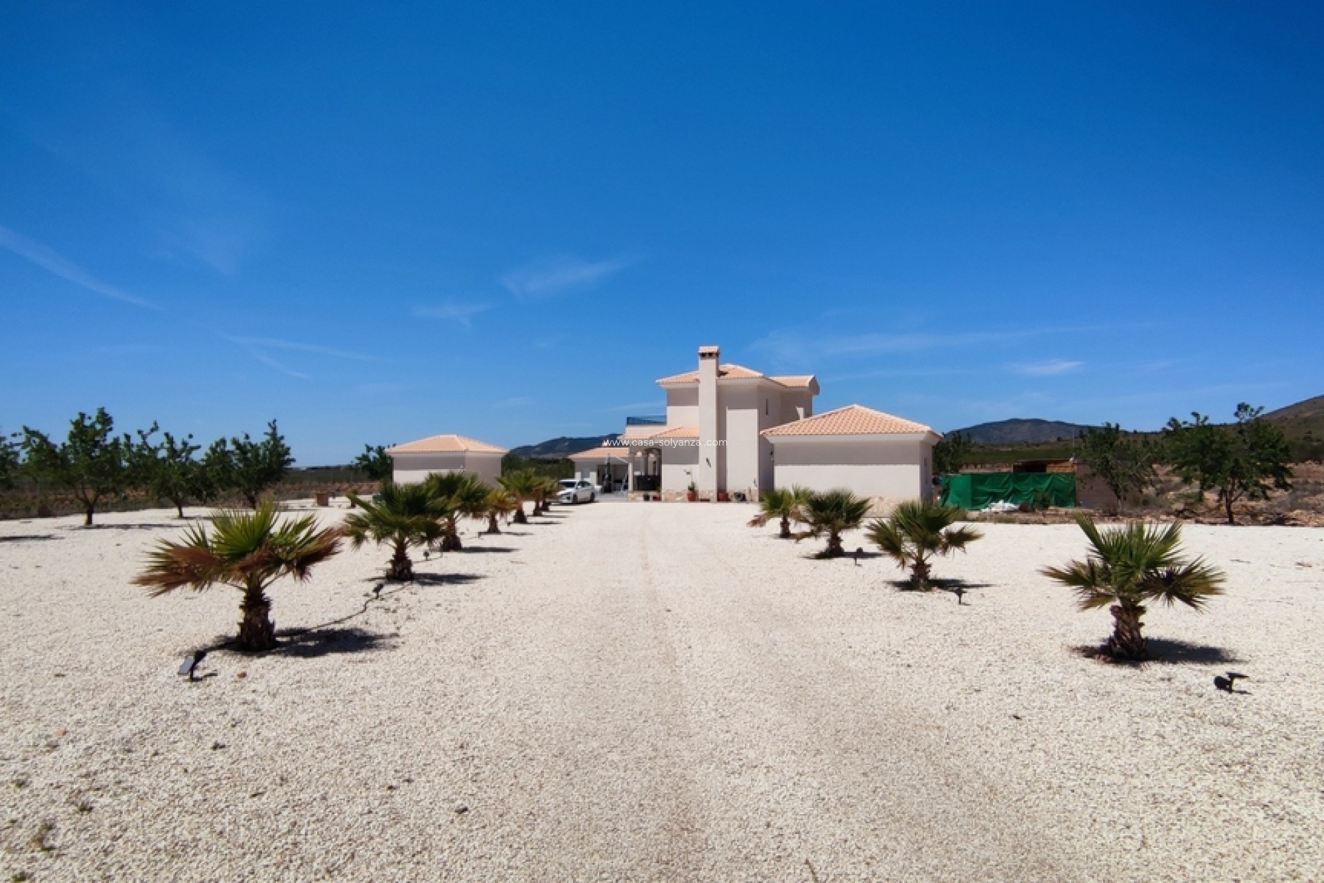 Revente - Villa - Pinoso - Inland