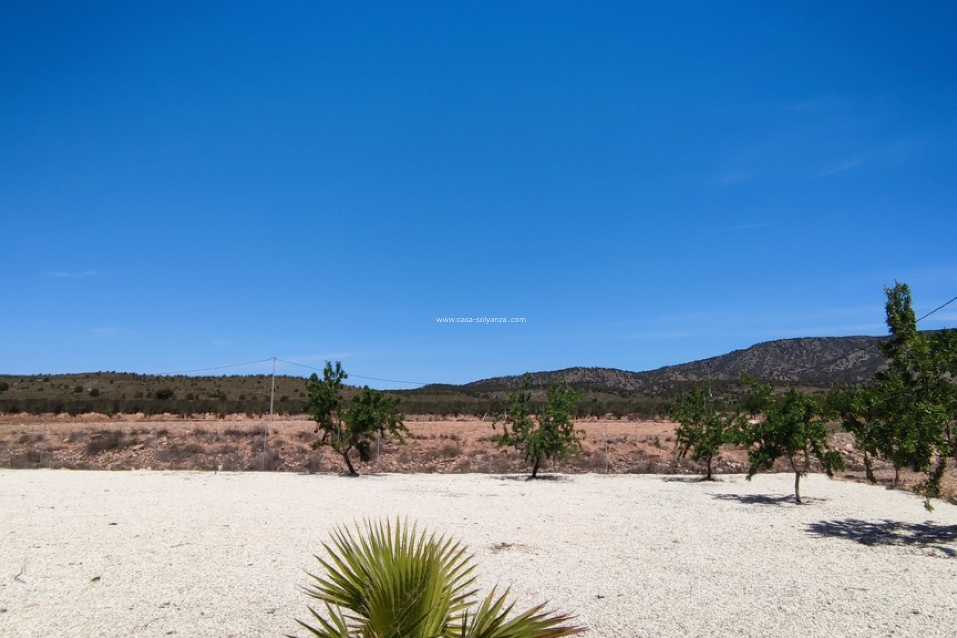 Revente - Villa - Pinoso - Inland