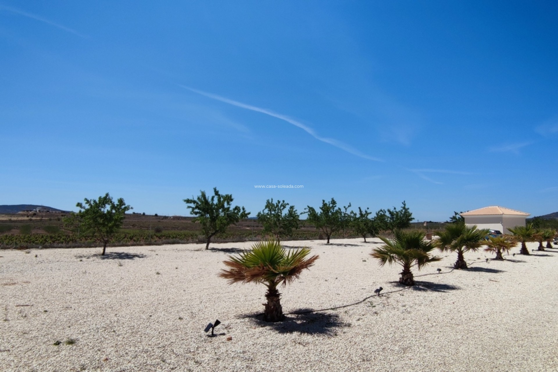 Revente - Villa - Pinoso - Inland