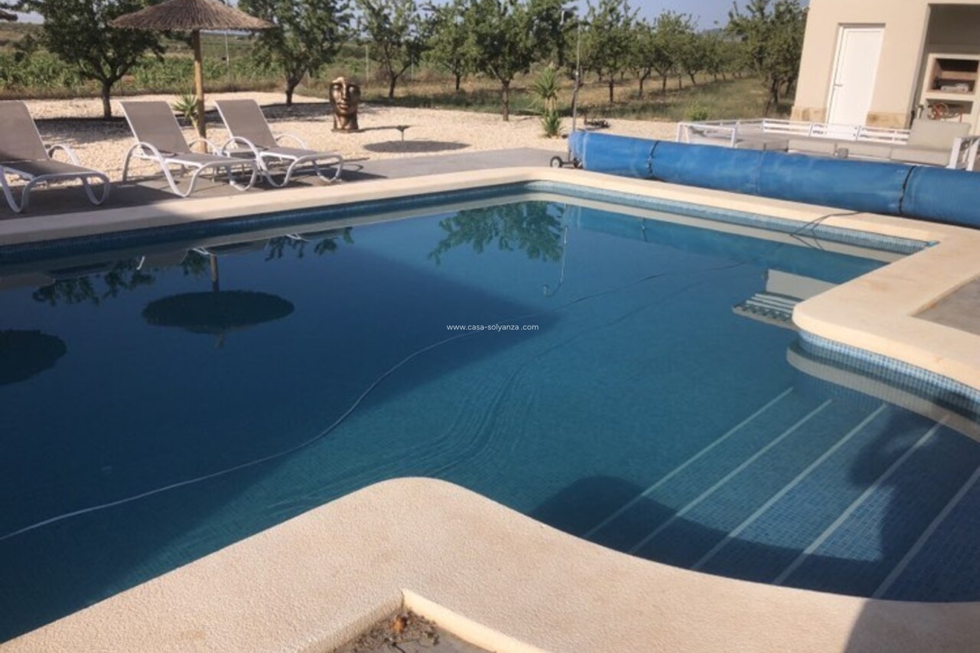 Revente - Villa - Pinoso - Inland