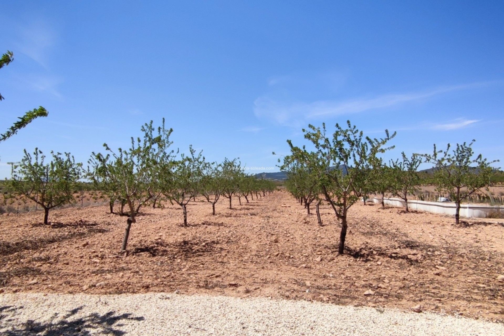 Revente - Villa - Pinoso - Inland