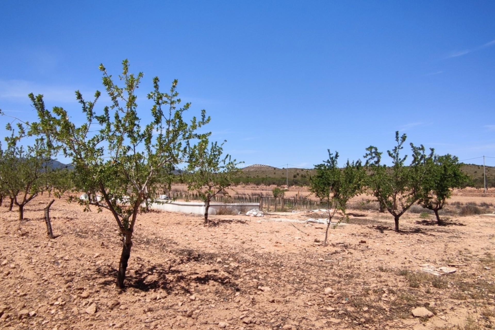 Revente - Villa - Pinoso - Inland