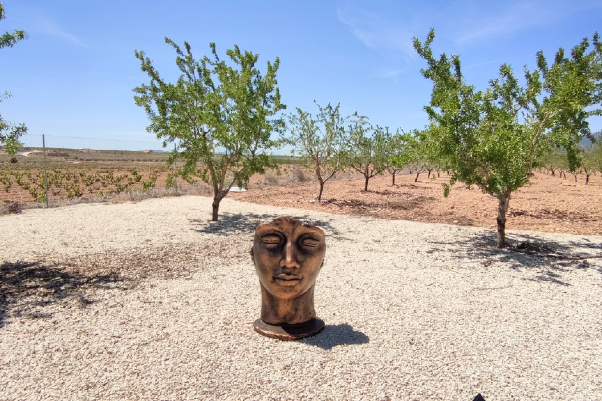 Revente - Villa - Pinoso - Inland