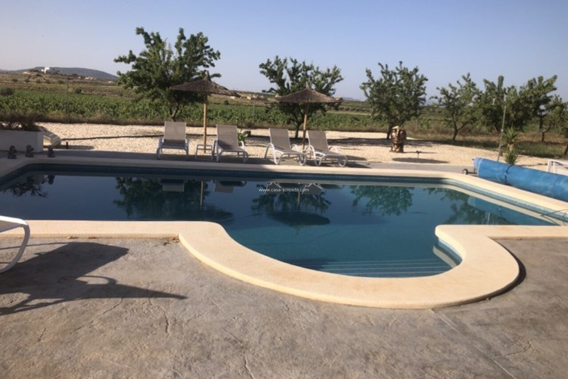 Revente - Villa - Pinoso - Inland