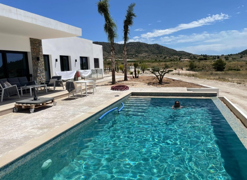 Revente - Villa - Pinoso - Inland