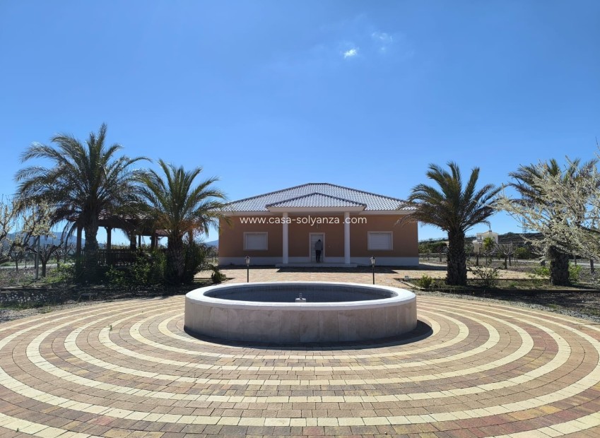 Revente - Villa - Pinoso - Inland