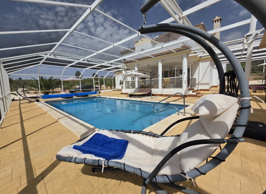 Revente - Villa - Pinoso - Inland