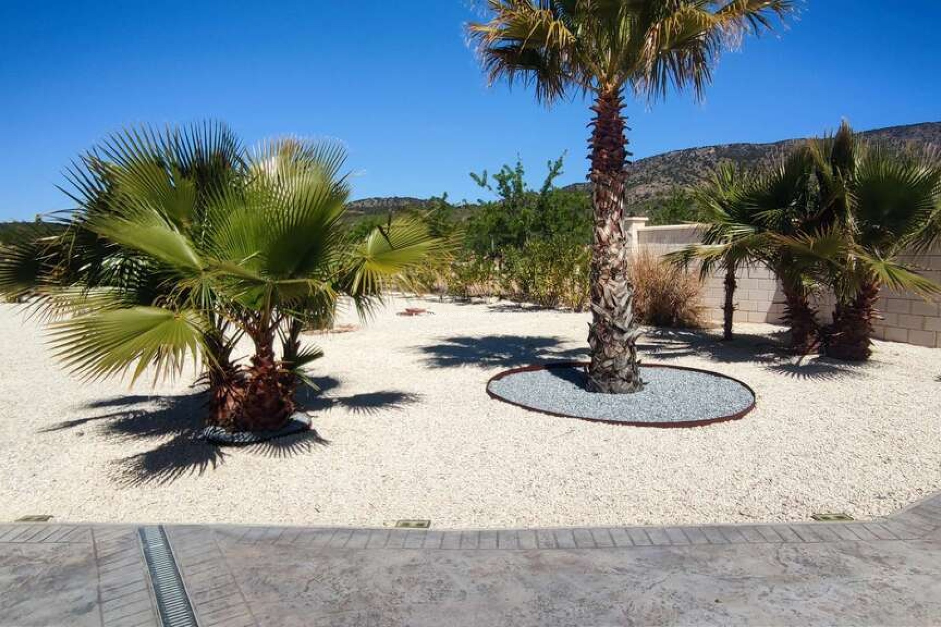 Revente - Villa - Pinoso - Inland