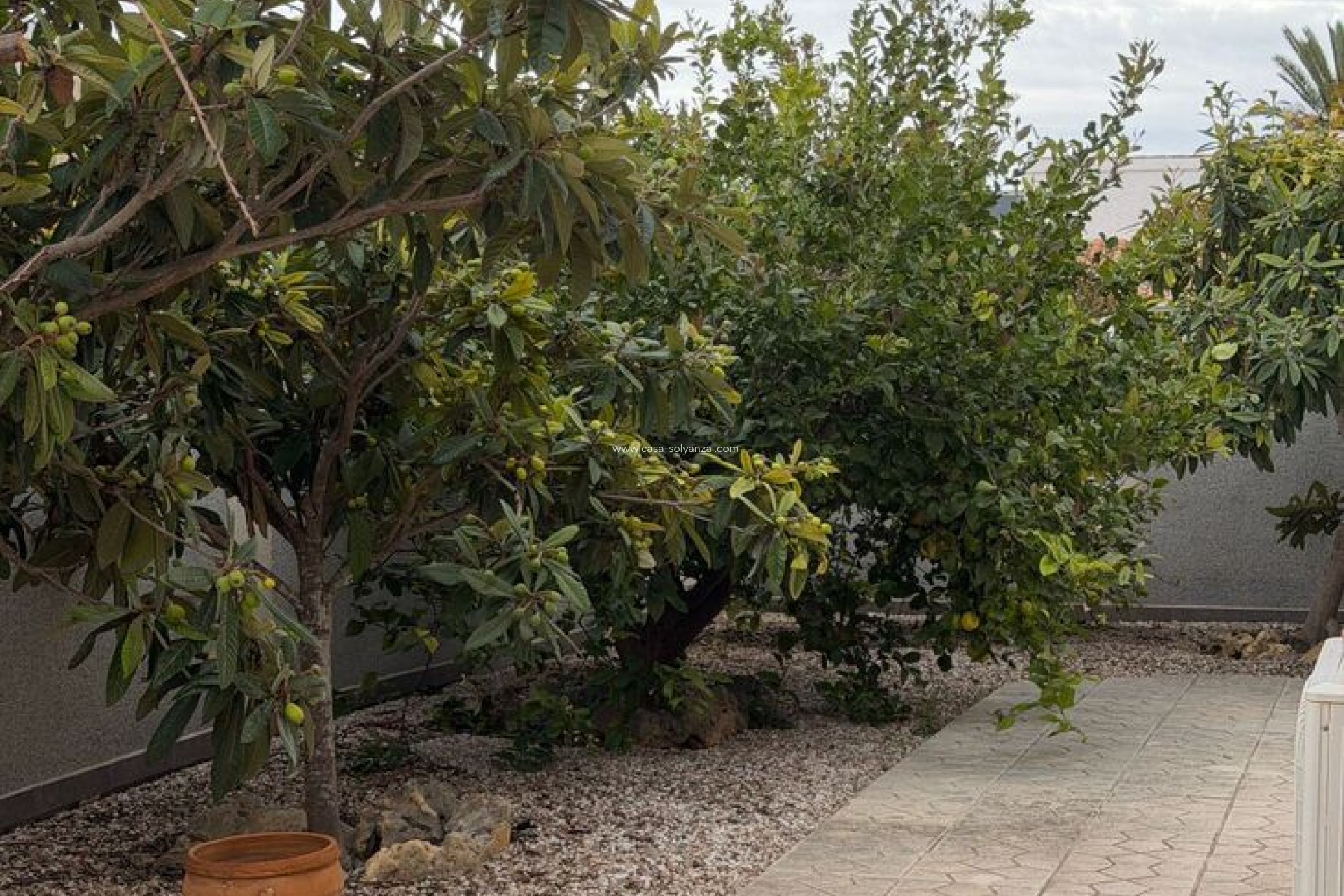 Revente - Villa - Playa Flamenca - Costa Blanca