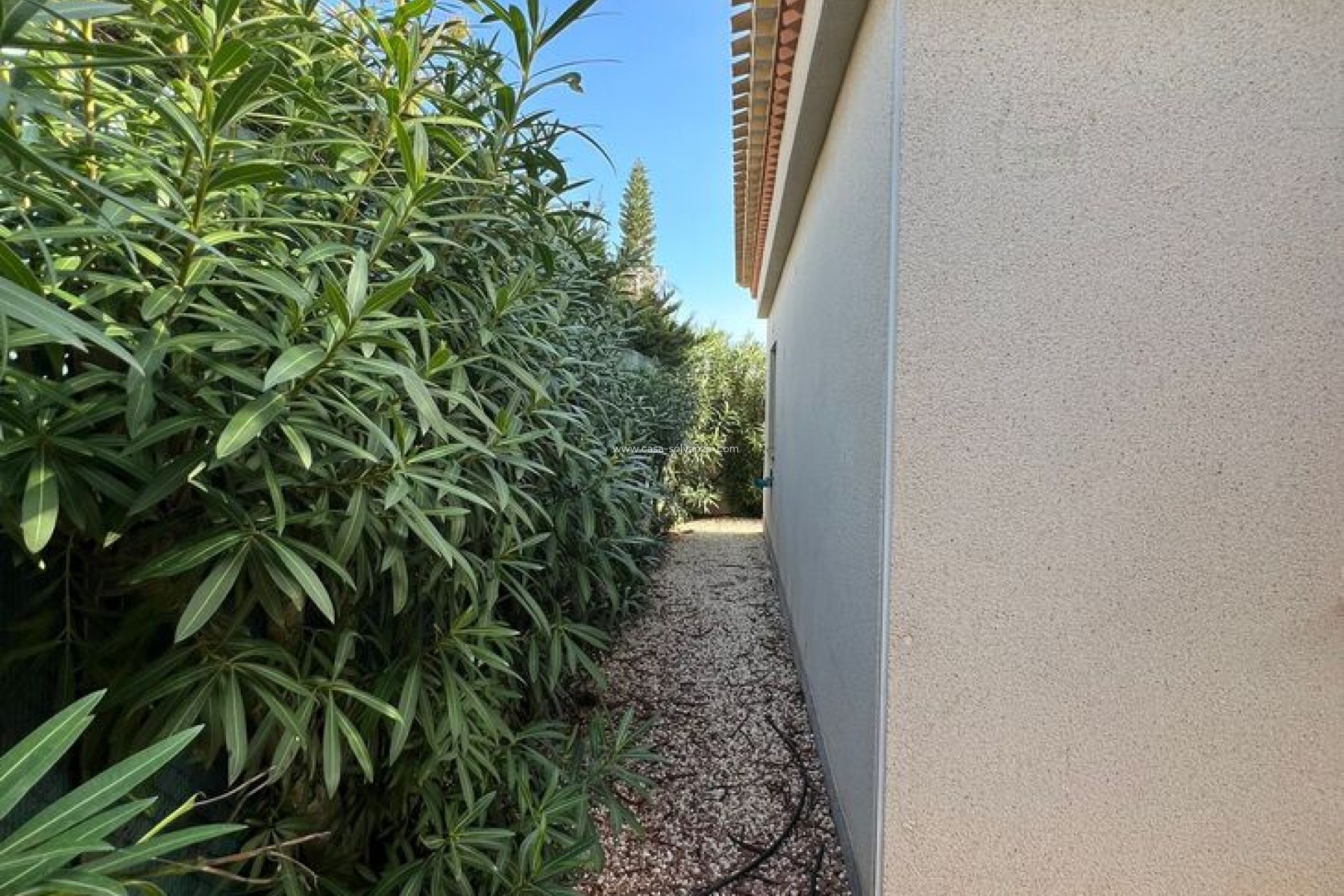 Revente - Villa - Playa Flamenca