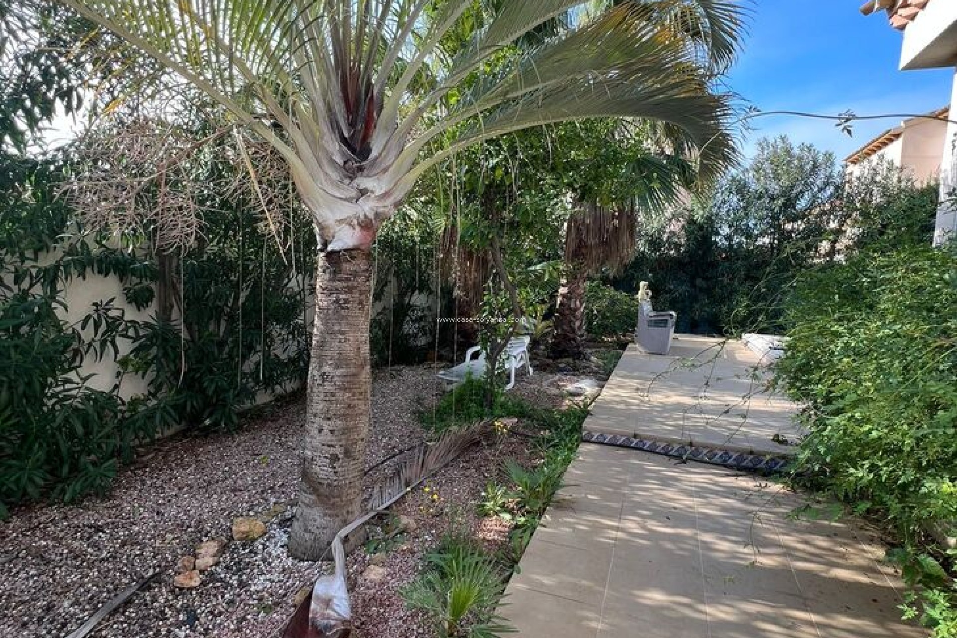 Revente - Villa - Playa Flamenca