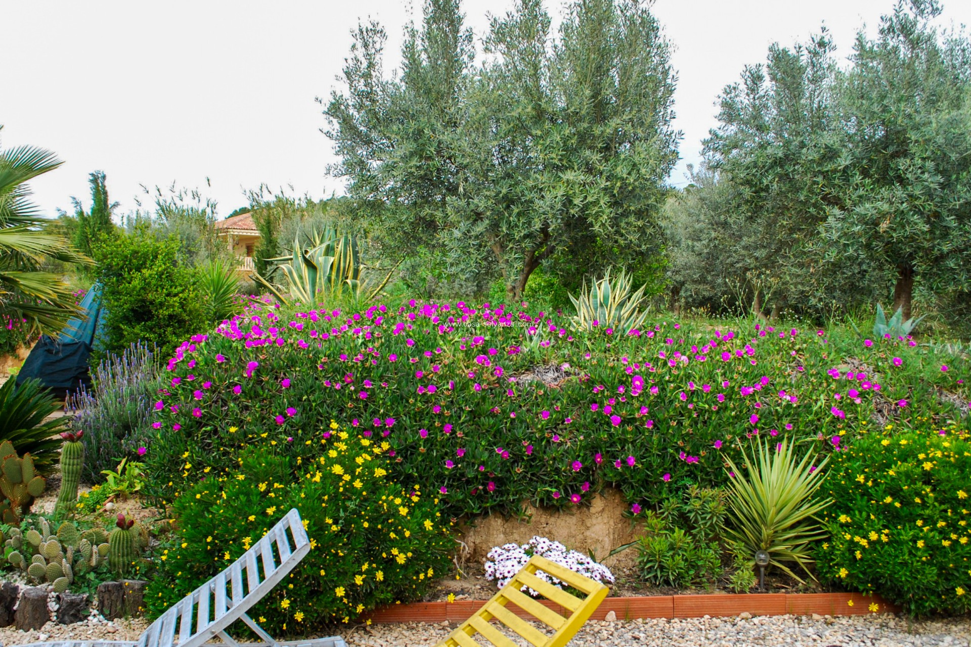 Revente - Villa - Pliego - Inland