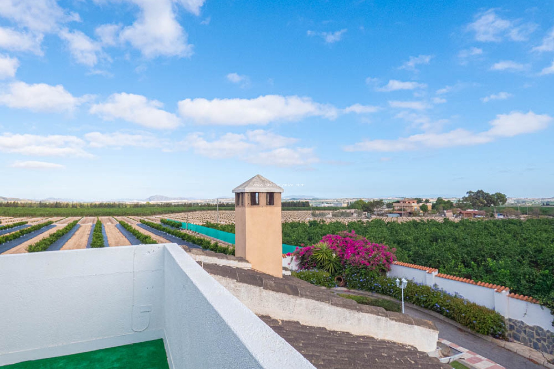 Revente - Villa - San Miguel de Salinas - Inland