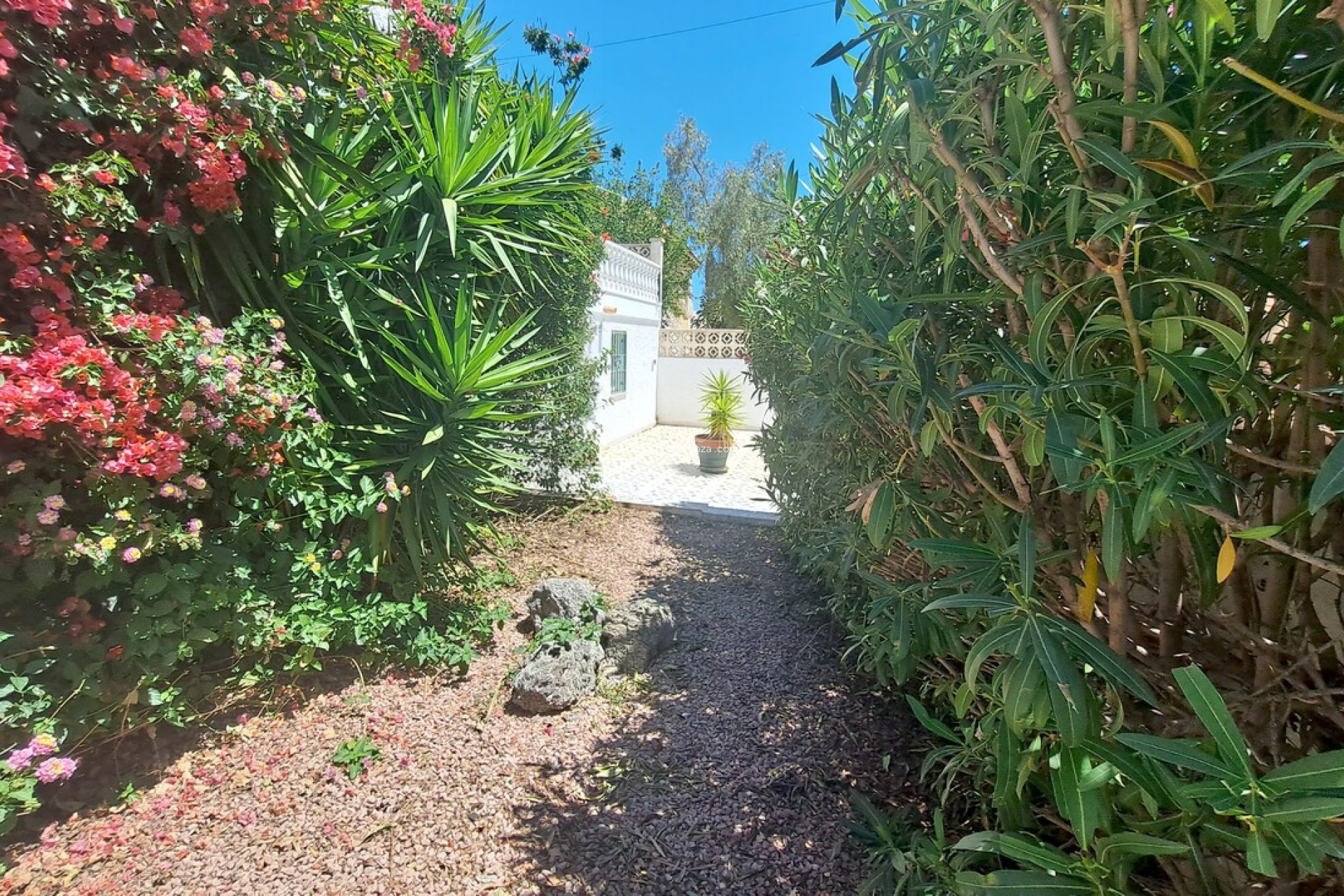 Revente - Villa - San Miguel de Salinas - Inland