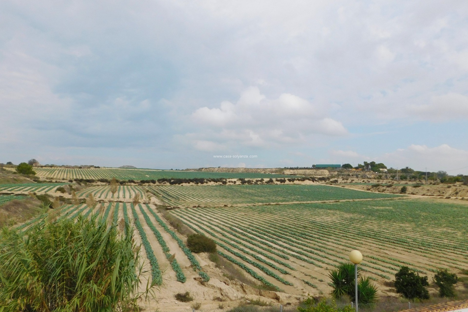 Revente - Villa - San Miguel de Salinas - San Miguel Salinas