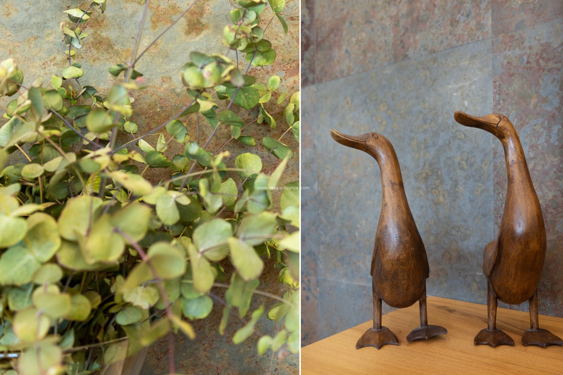 Revente - Villa - San Vicente del Raspeig - Inland