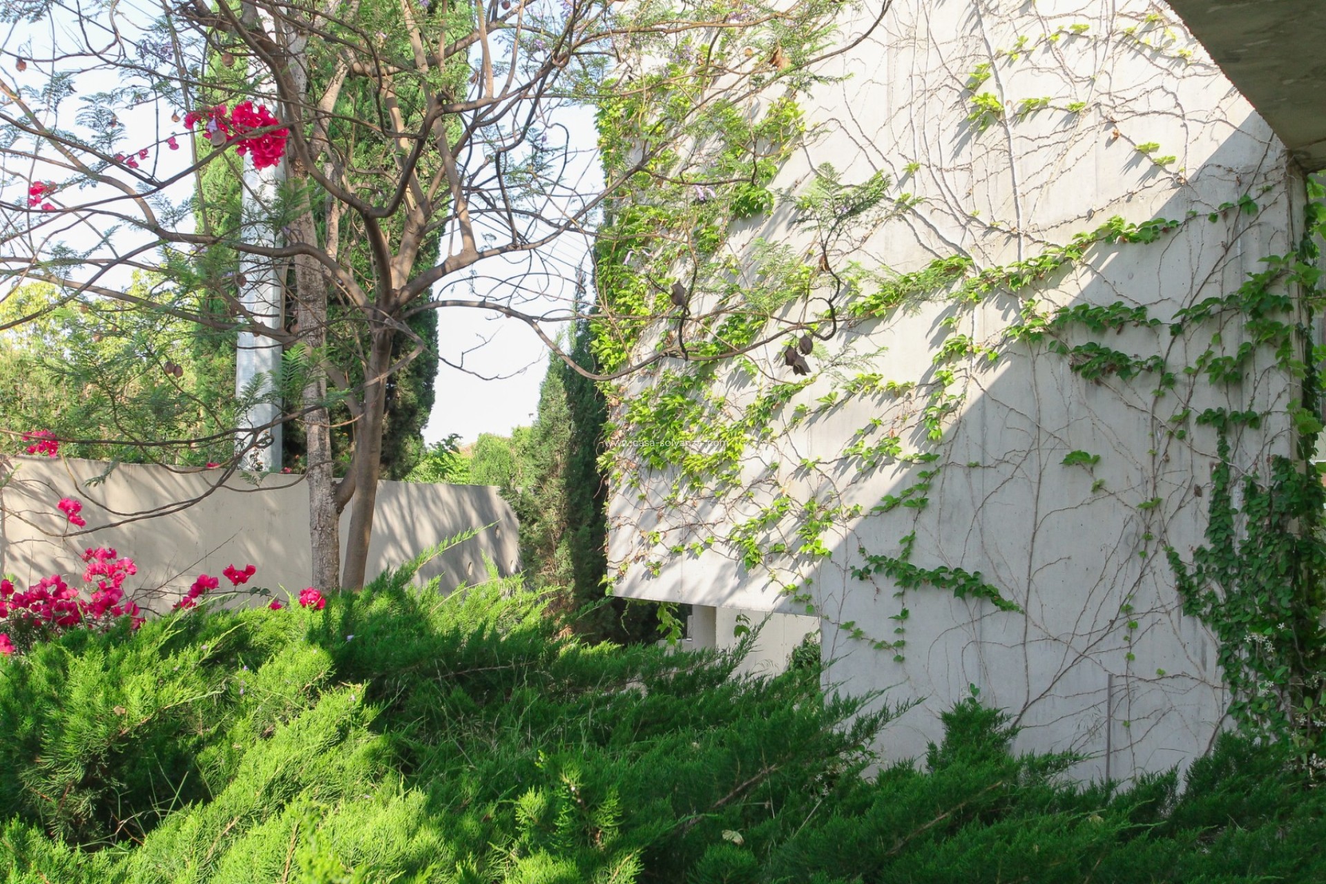 Revente - Villa - San Vicente del Raspeig - Inland