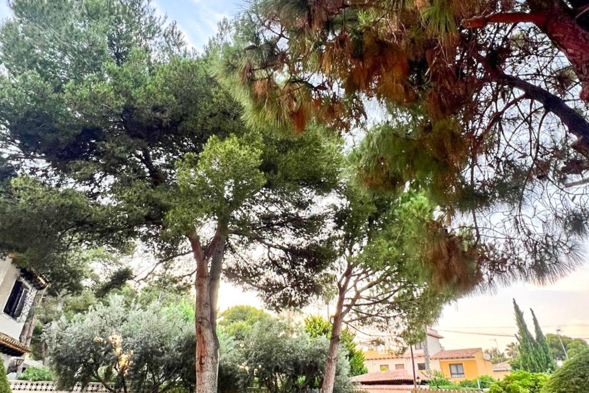 Revente - Villa / Semi detached - Orihuela Costa - Punta Prima