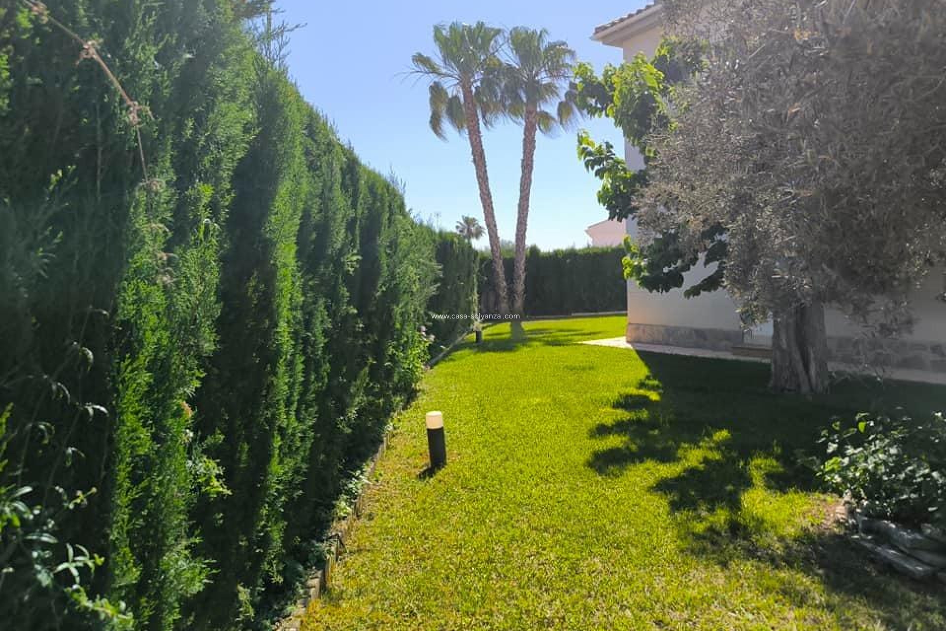 Revente - Villa - Torrevieja - La Siesta