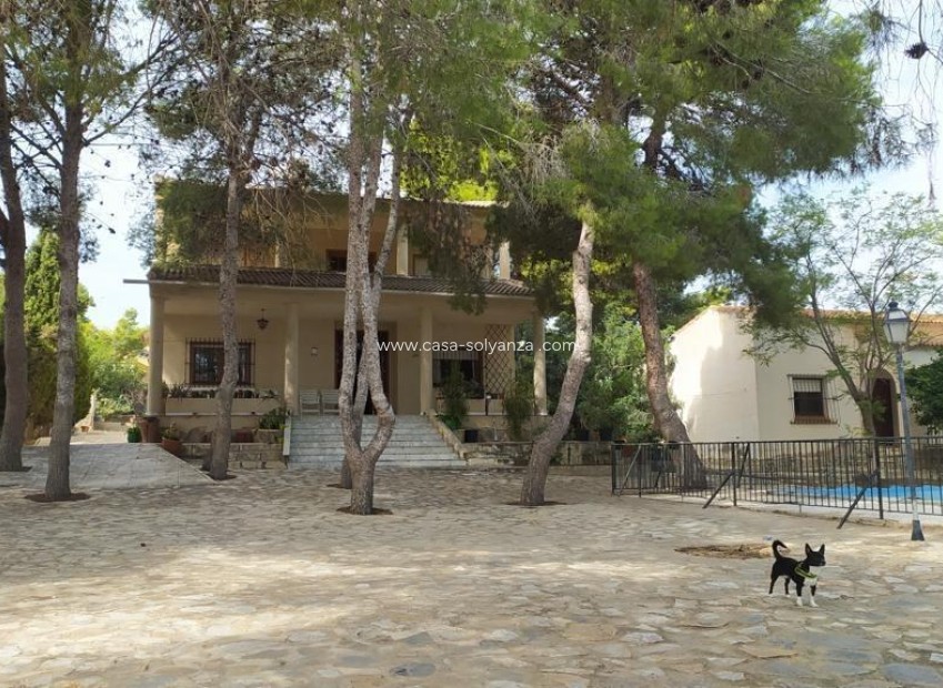 Revente - Villa - Torrevieja - Los Balcones