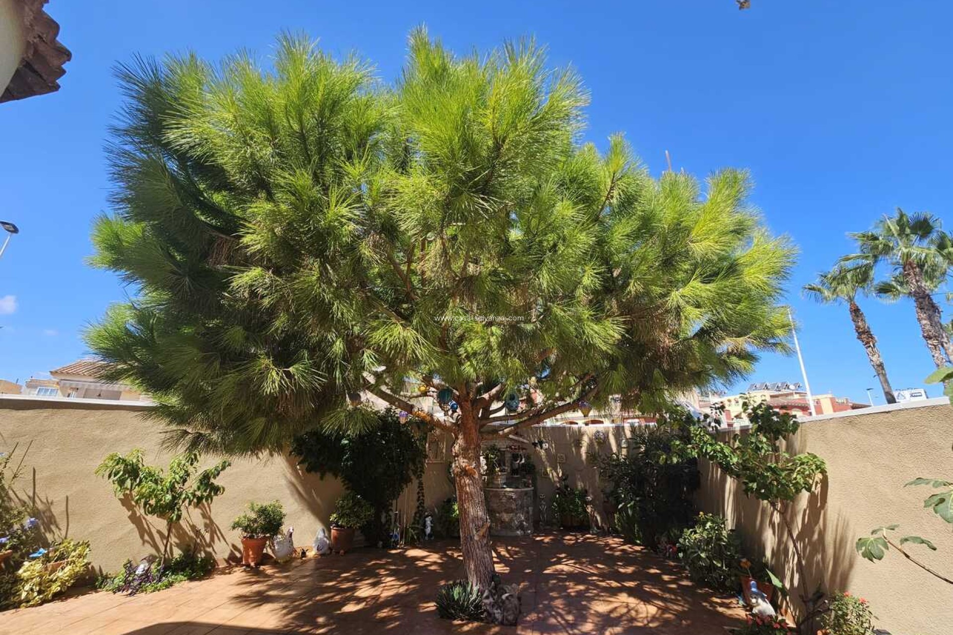 Revente - Villa - Torrevieja - Torre Del Moro