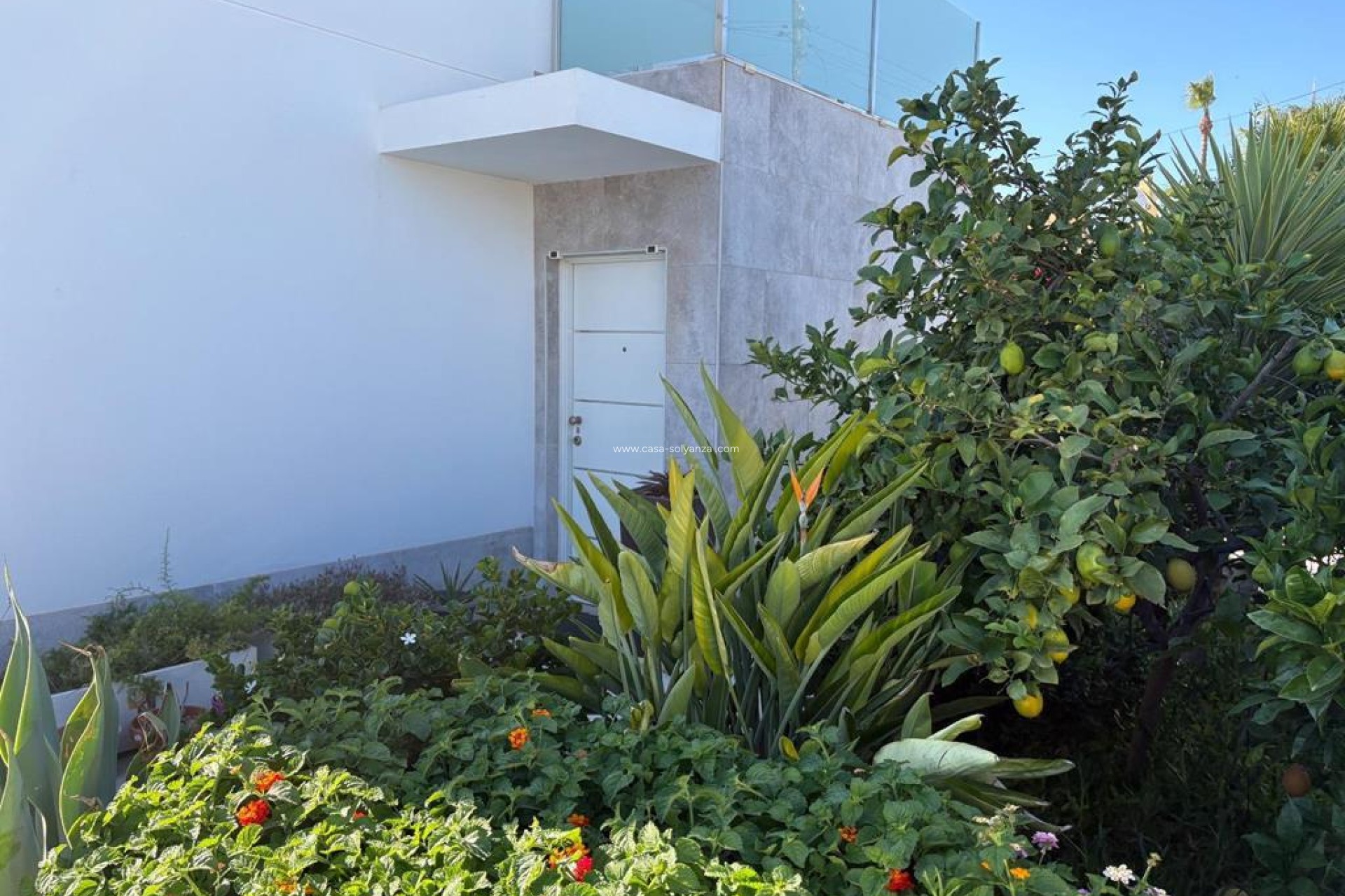Revente - Villa - Torrevieja - Torreta Florida