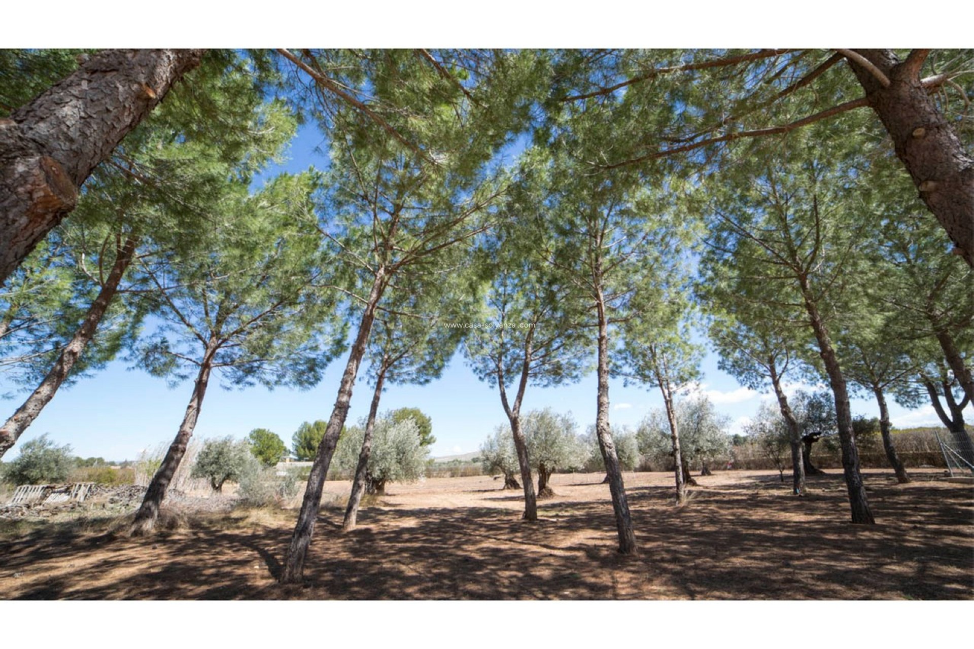 Revente - Villa - Yecla - Inland