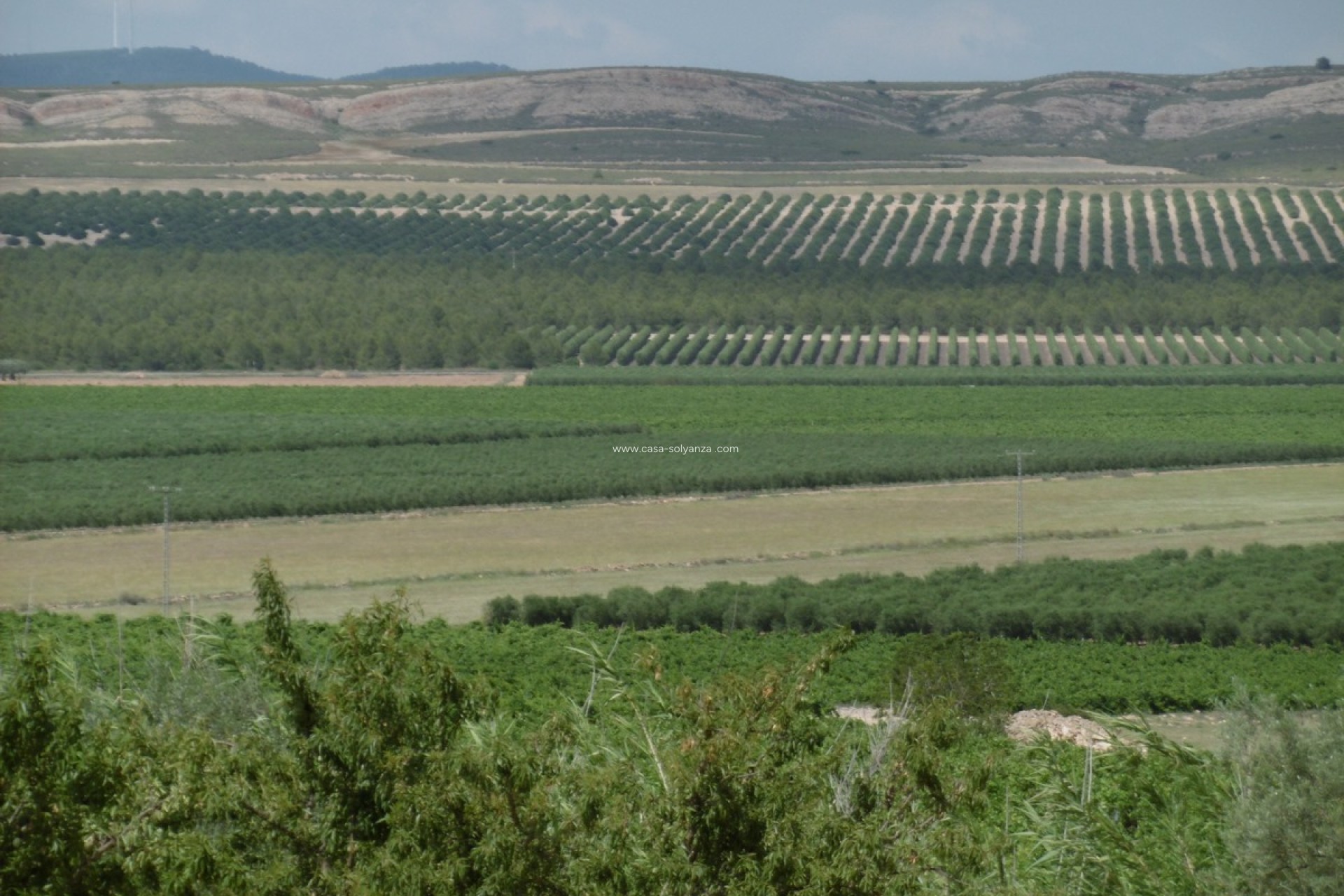 Revente - Villa - Yecla - Inland