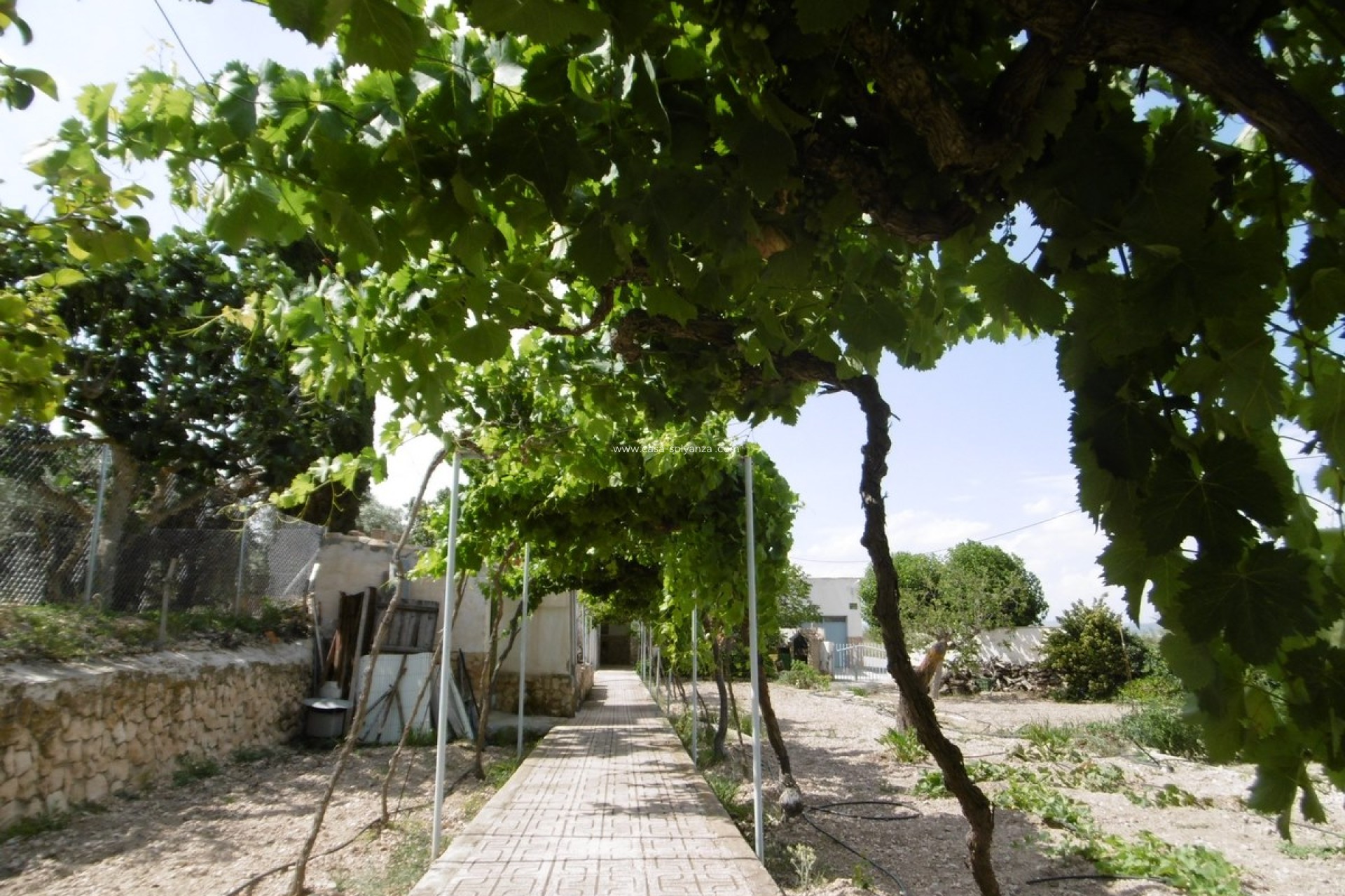 Revente - Villa - Yecla - Inland