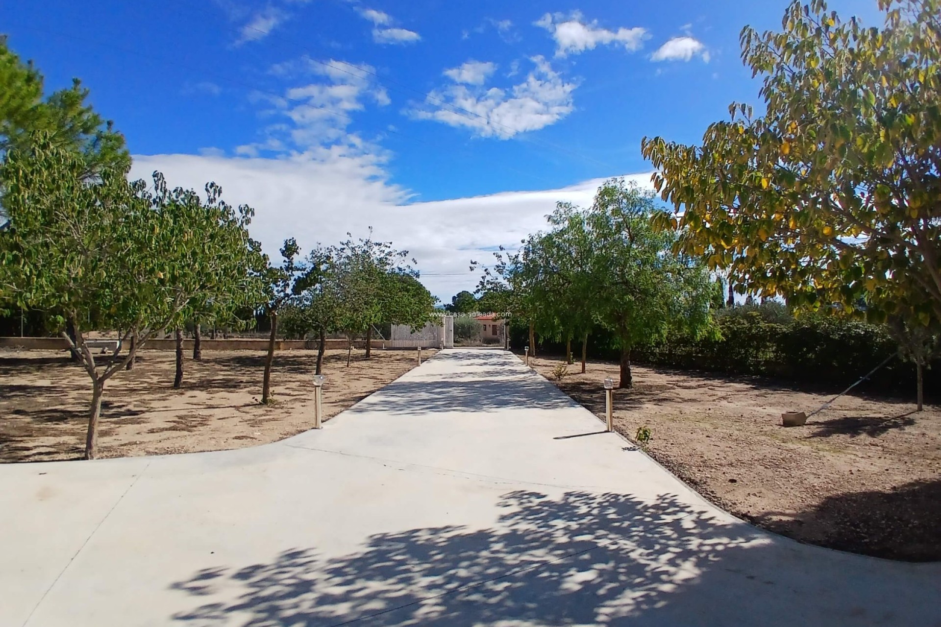 Revente - Villa - Yecla - Inland