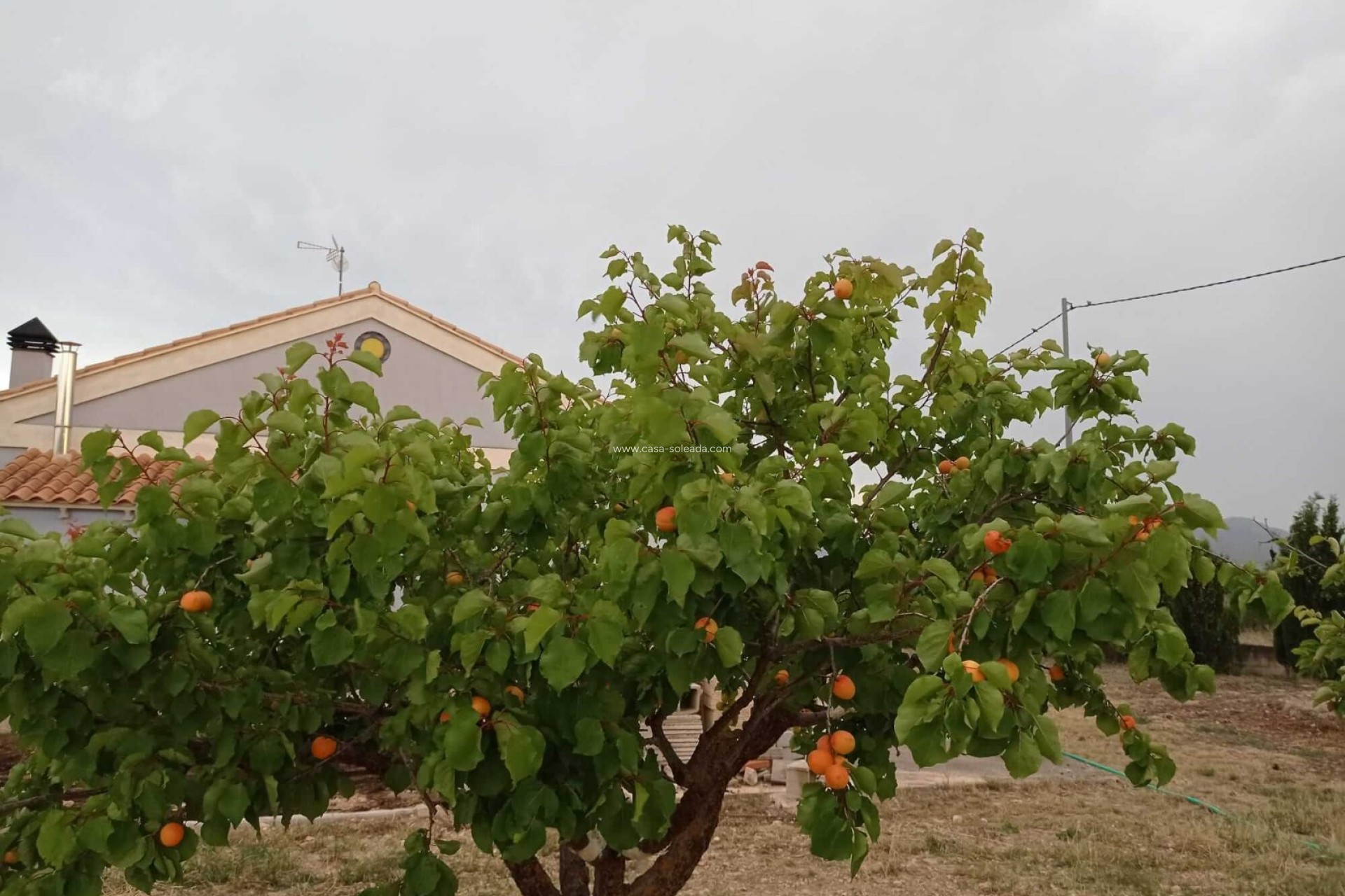 Revente - Villa - Yecla - Inland
