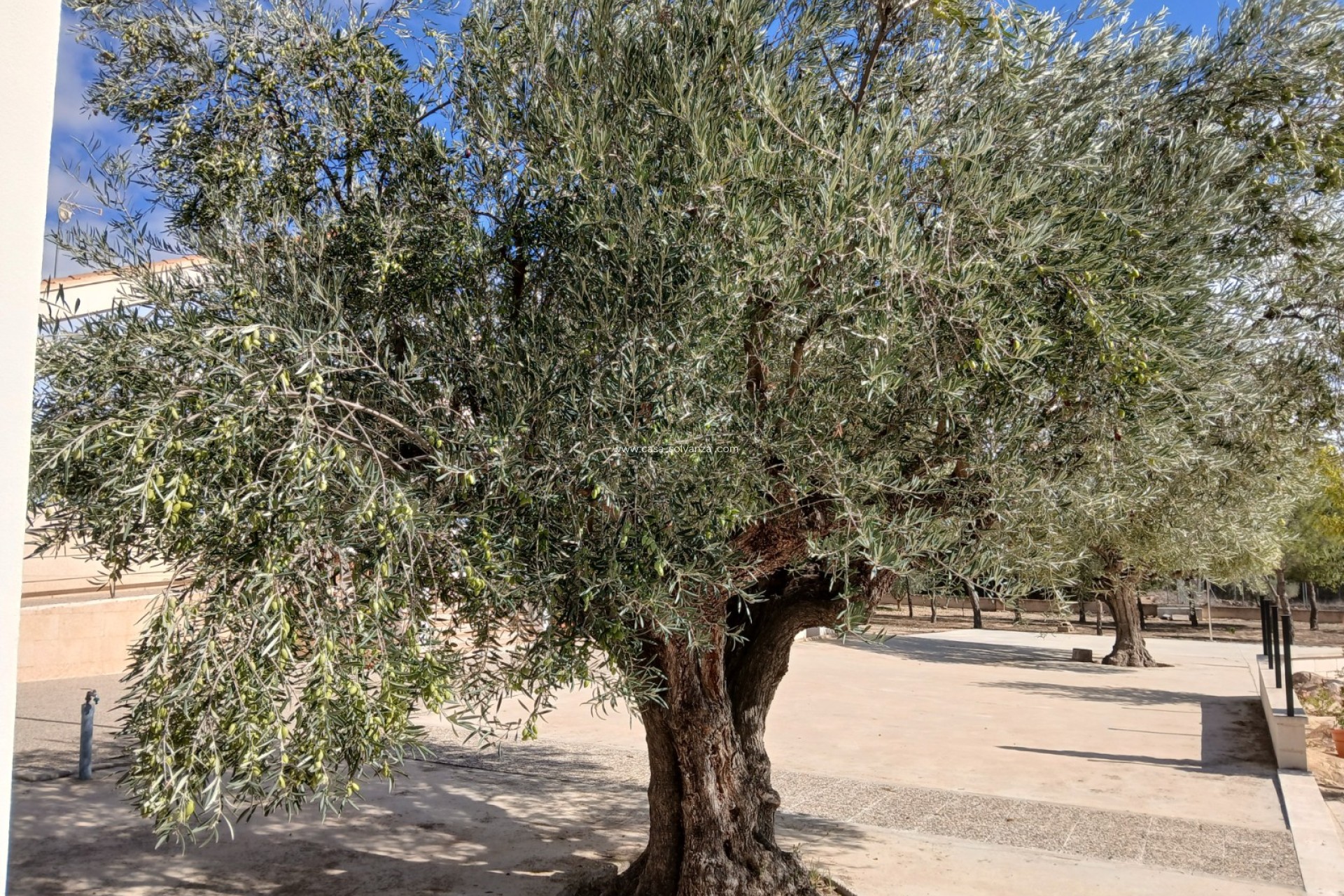 Revente - Villa - Yecla - Inland